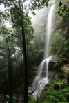 JV136 Witches Leap, Katoomba Falls Reserve