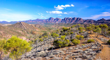 LS102 Flinders Ranges, Sth Australia