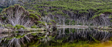 LS116 Bournda Lagoon, Bournda National Park NSW