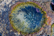 SC129  Rockpool