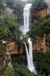 JV110 Wentworth Falls