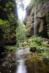 GV129 The Grand Canyon, Grose Valley