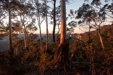 BM341 At Sunrise, Blue Mountains