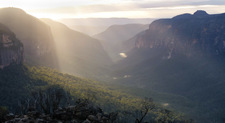 GV136 Grose Valley, Blue Mountains