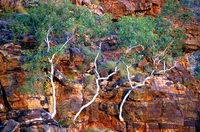 OB102 Boodjamulla National Park (Lawn Hill), Queensland