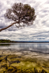 LS112 Wallagoot Lake, Bournda National Park NSW