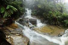 BM340 Leura Cascades