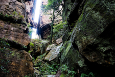 BM323 Devil's Hole, Blue Mountains